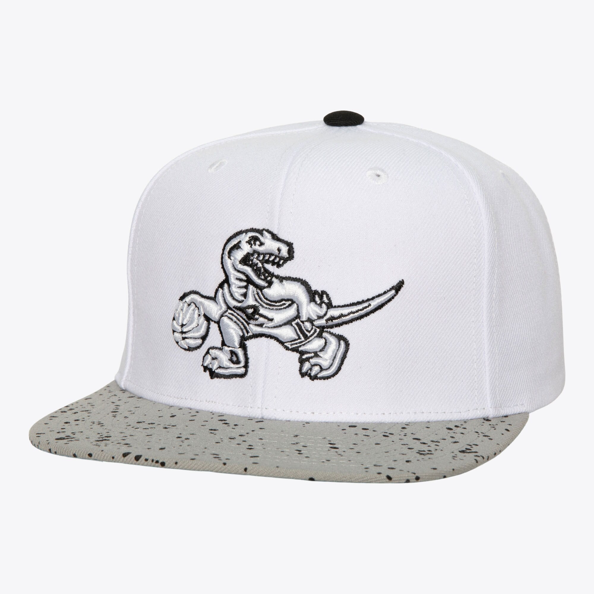MENS MITCHELL & NESS NBA CEMENT TOP SNAPBACK HWC RAPTORS - WHITE-SILVER