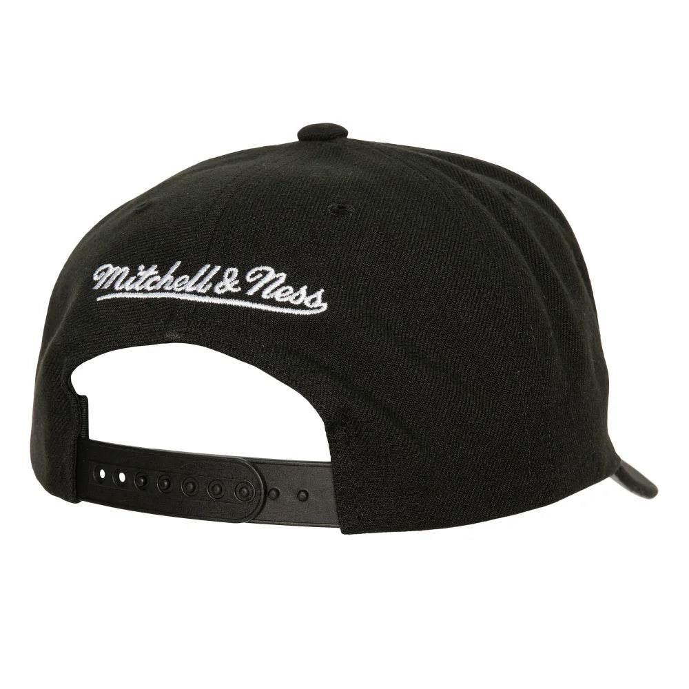 Mens MITCHELL & NESS NBA ICON GRAIL PRO SNAPBACK HWC RAPTORS