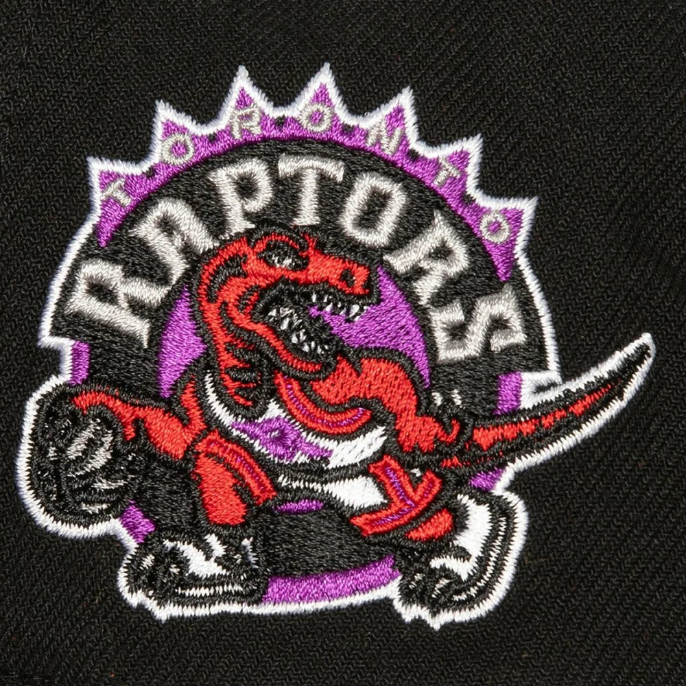 Mens MITCHELL & NESS NBA ICON GRAIL PRO SNAPBACK HWC RAPTORS