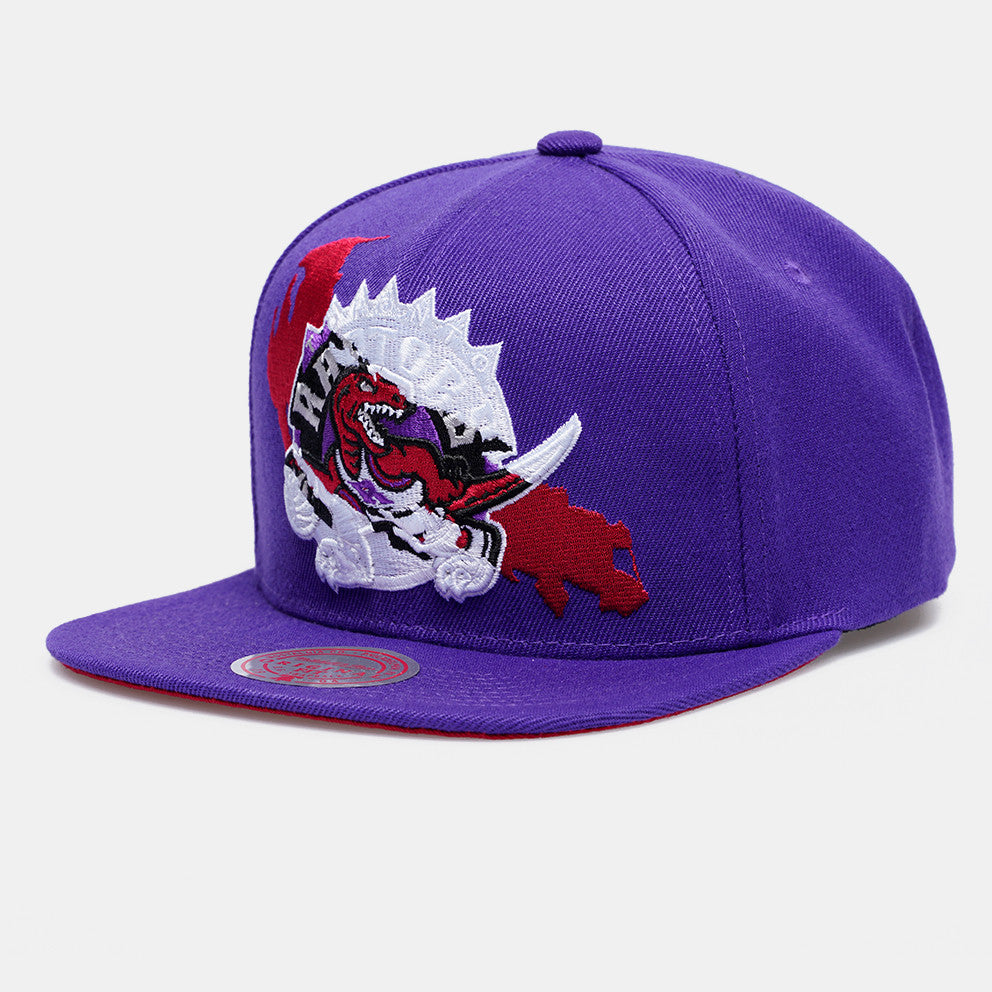MENS MITCHELL & NESS NBA PAINT BY NUMBER SNAPBACK HWC RAPTORS - PURPLE