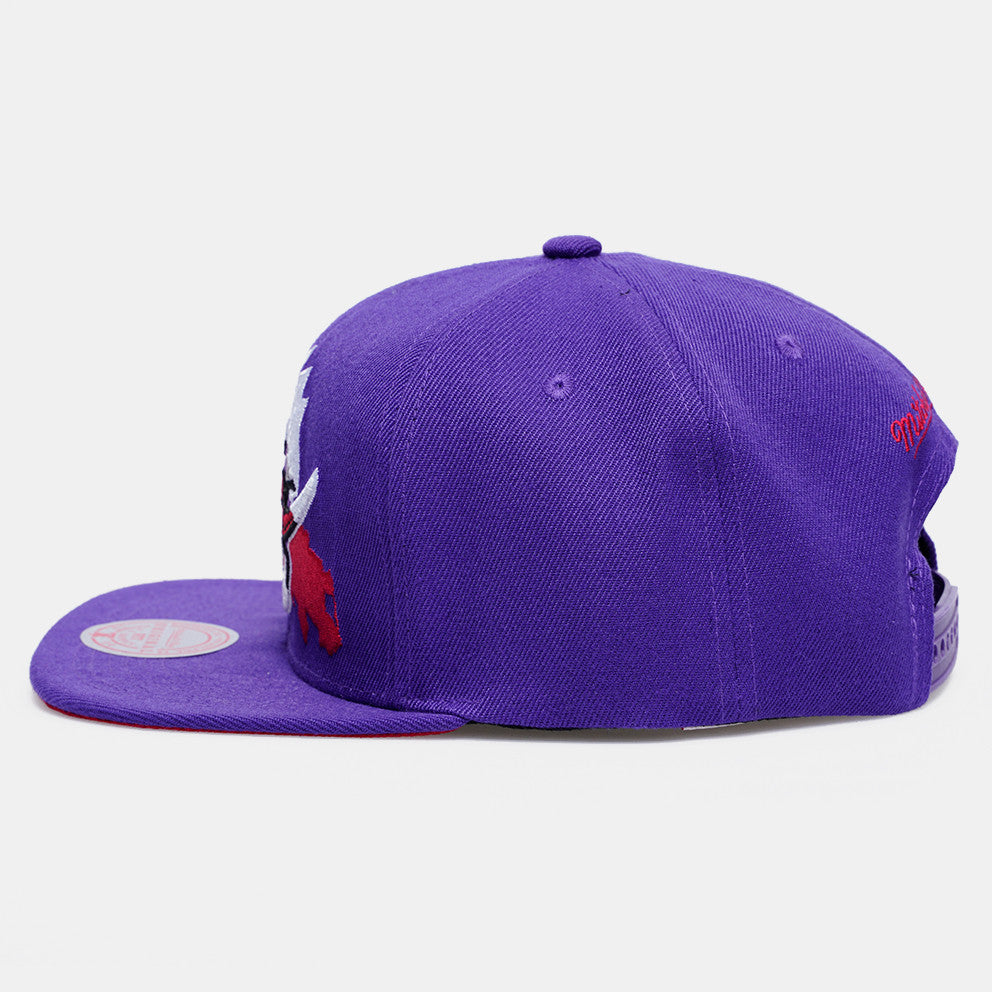 MENS MITCHELL & NESS NBA PAINT BY NUMBER SNAPBACK HWC RAPTORS - PURPLE