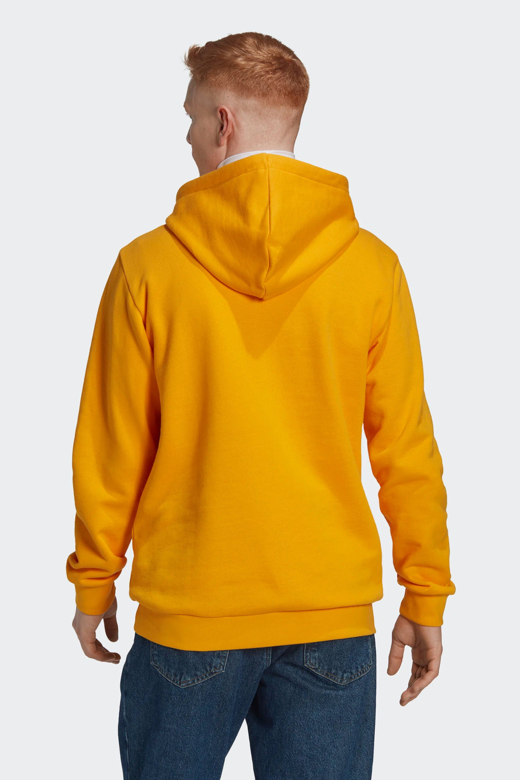 [HR2638] Mens Adidas TREFOIL HOODY