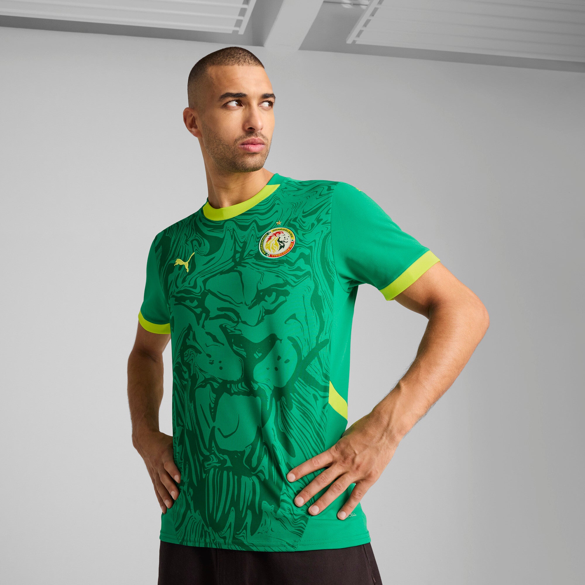[777166-03] Mens Puma FSF AWAY JERSEY REPLICA