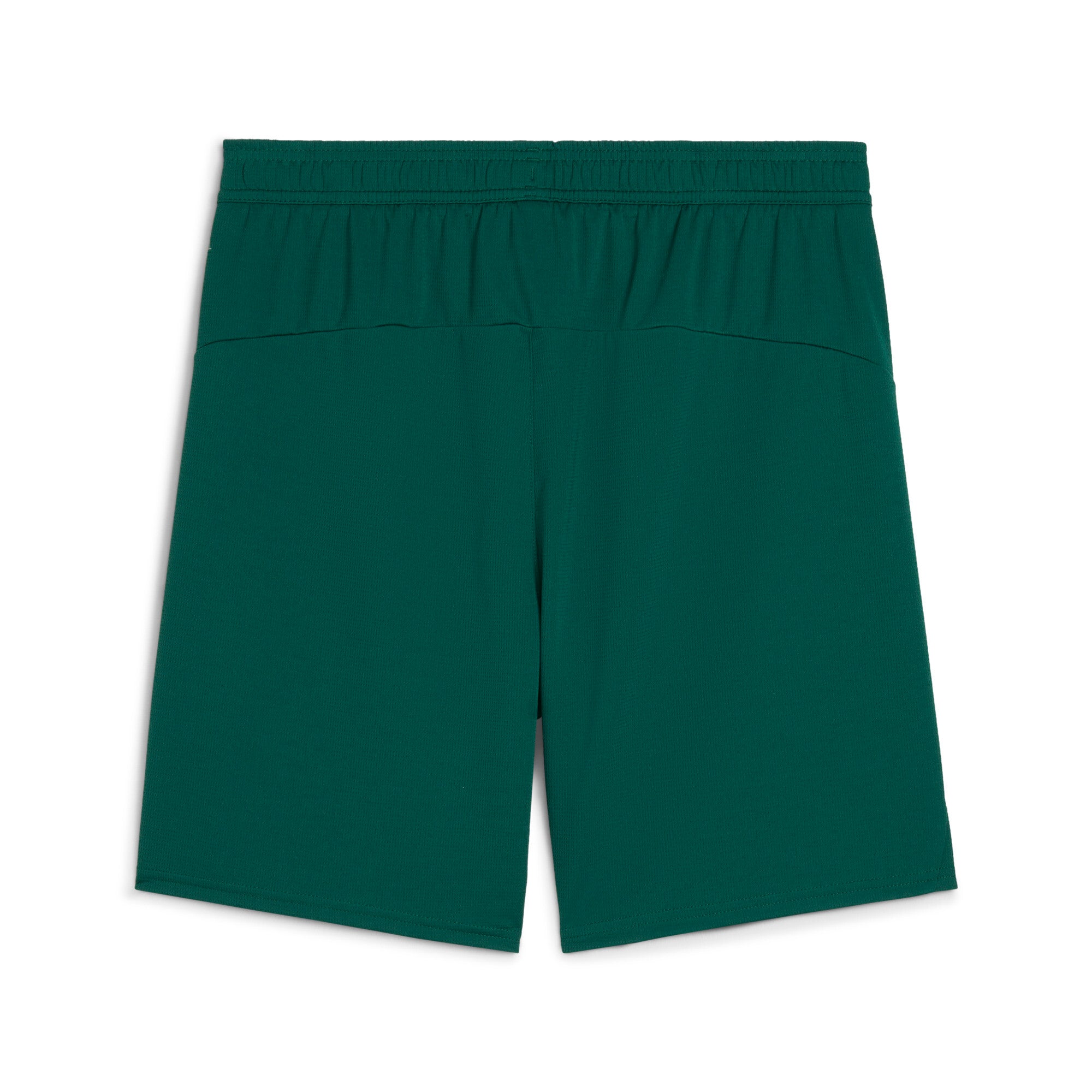 [779226-10] Mens Puma FPF SHORTS REPLICA