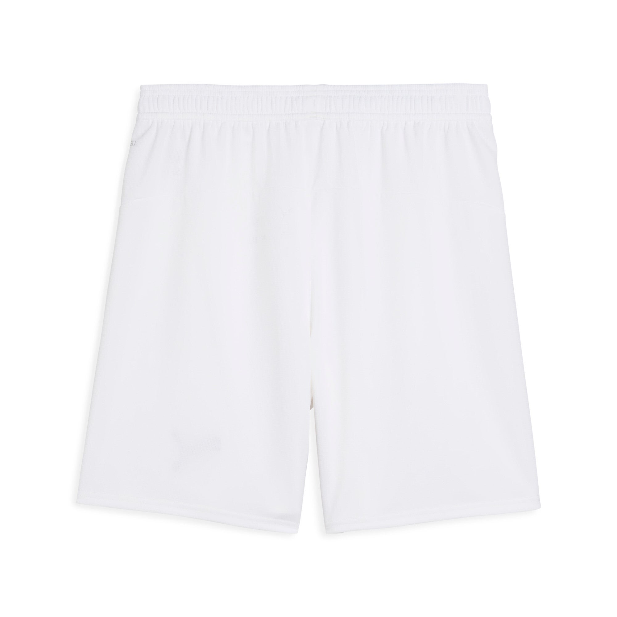 [779226-04] Mens Puma FPF SHORTS REPLICA