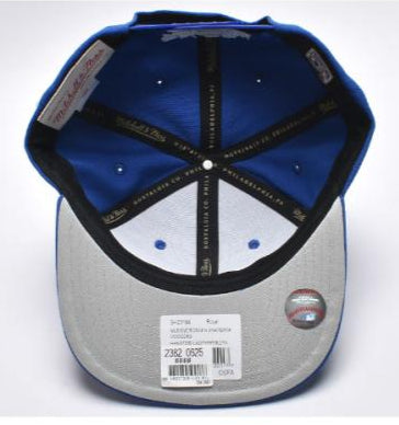 [HHSS7339-LADYYPPPROYA] MENS MITCHELL & NESS MLB EVERGREEN SNAPBACK DODGERS