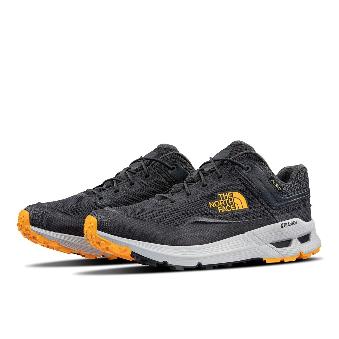 [NF0A3RDE-C4T] Mens North Face Safien GTX Hiking Shoe