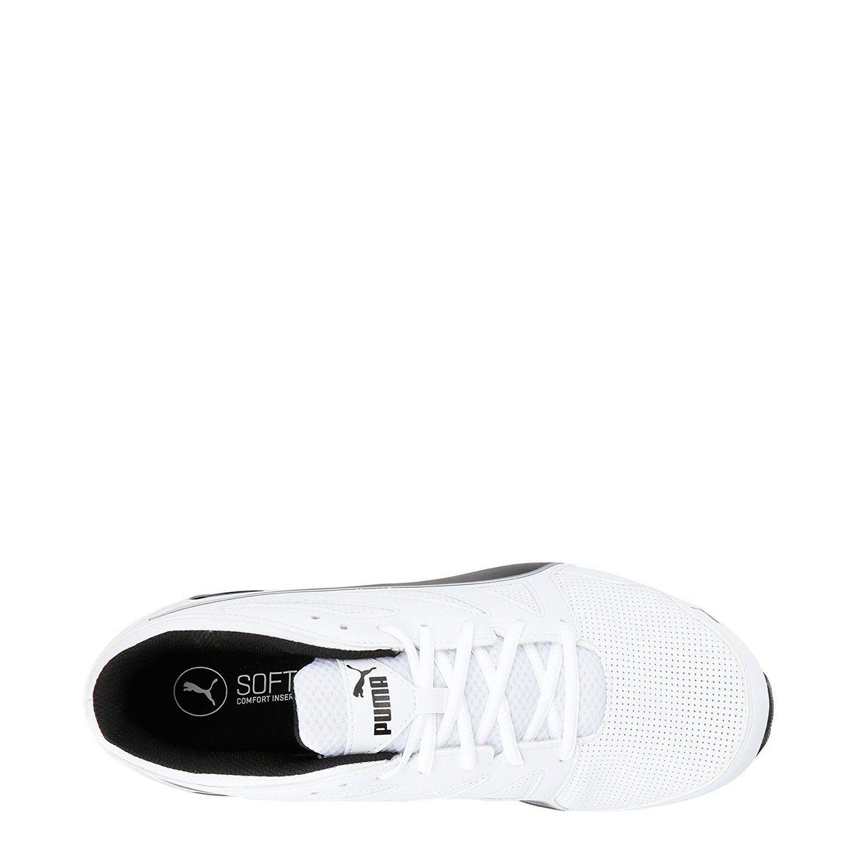 [190296-08] TAZON MODERN SL FM