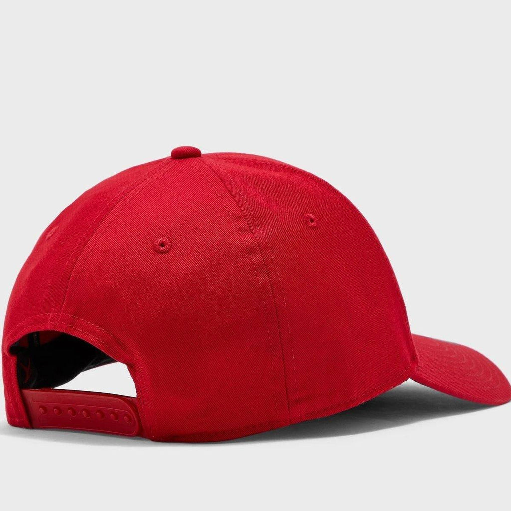 [CK1248-687] Mens Air Jordan Jumpman Legacy91 Air Snapback - sneakAR