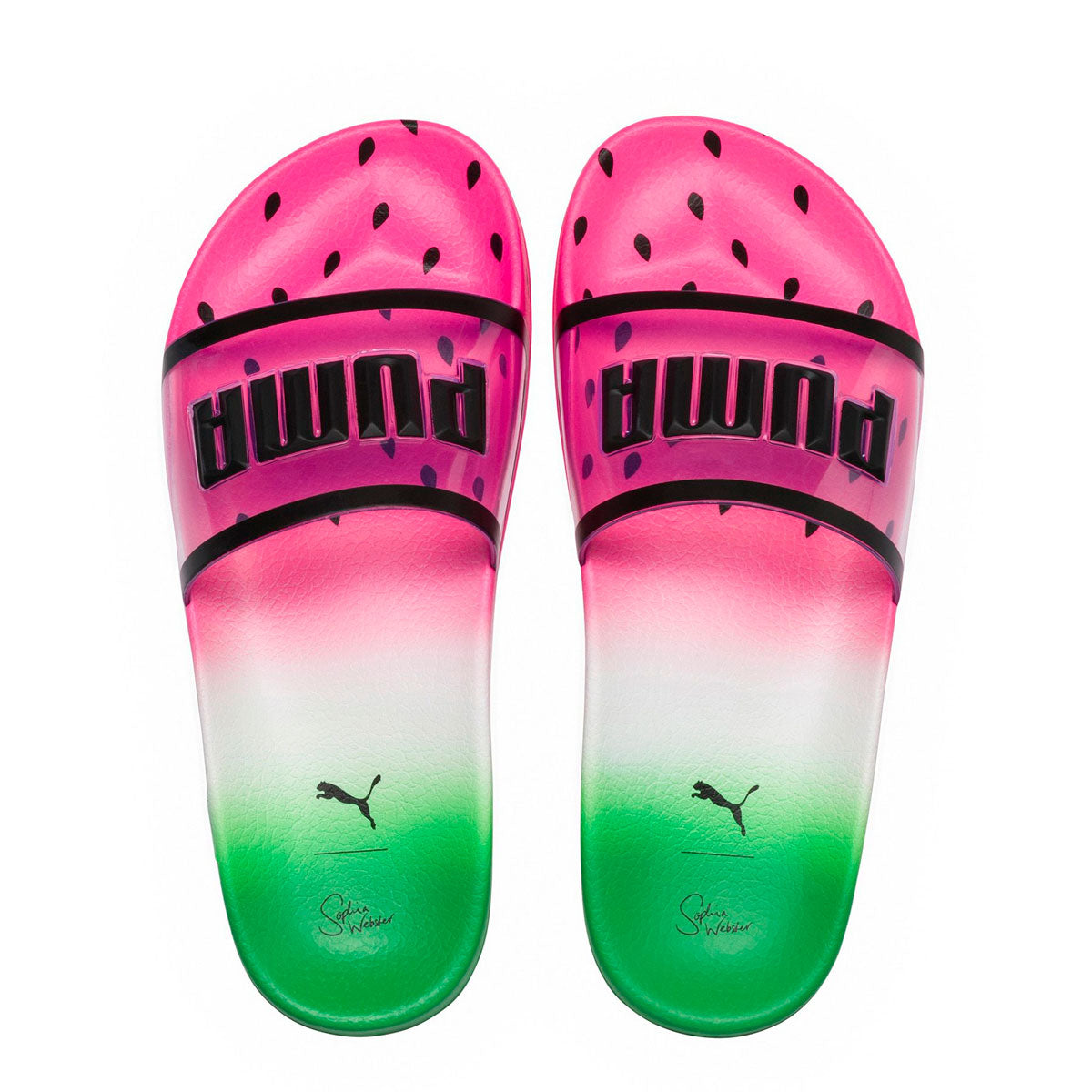 [365955-01] Womens LEADCAT CANDY PRINCESS SW