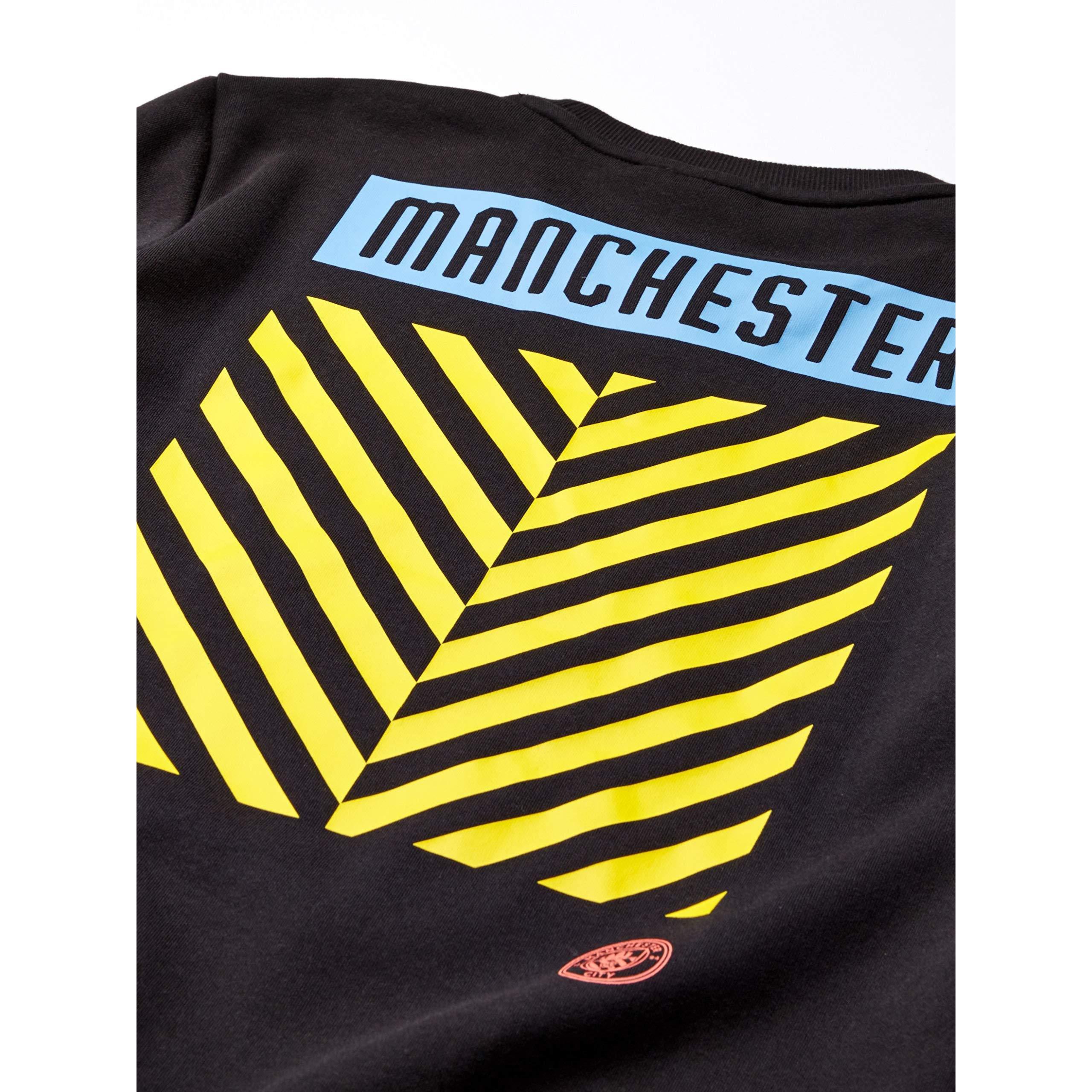 [756133-02] Mens Puma MCFC Ftblculture Sweater - sneakAR