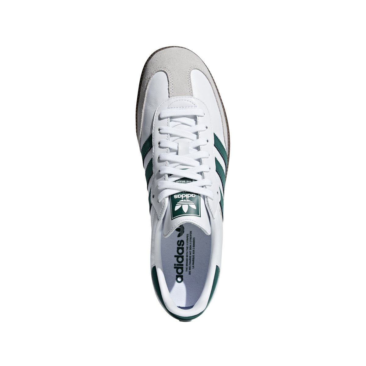 [B75680] Samba OG