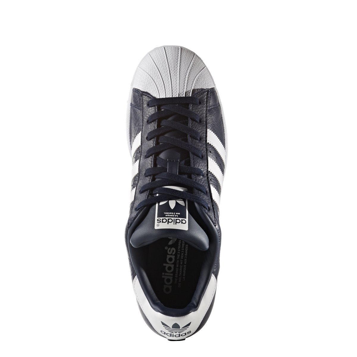 [BB2239] Superstar