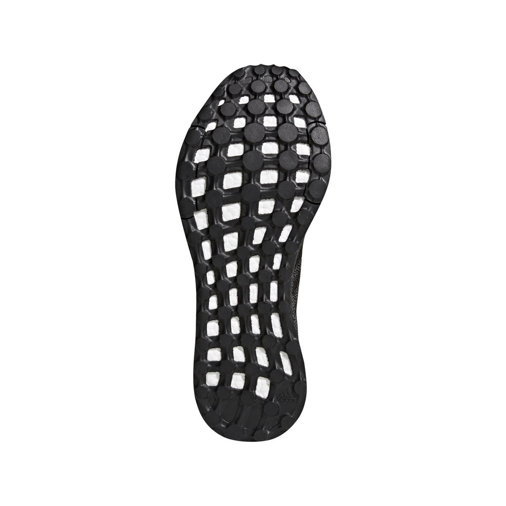 [BB6303] PureBOOST DPR LTD