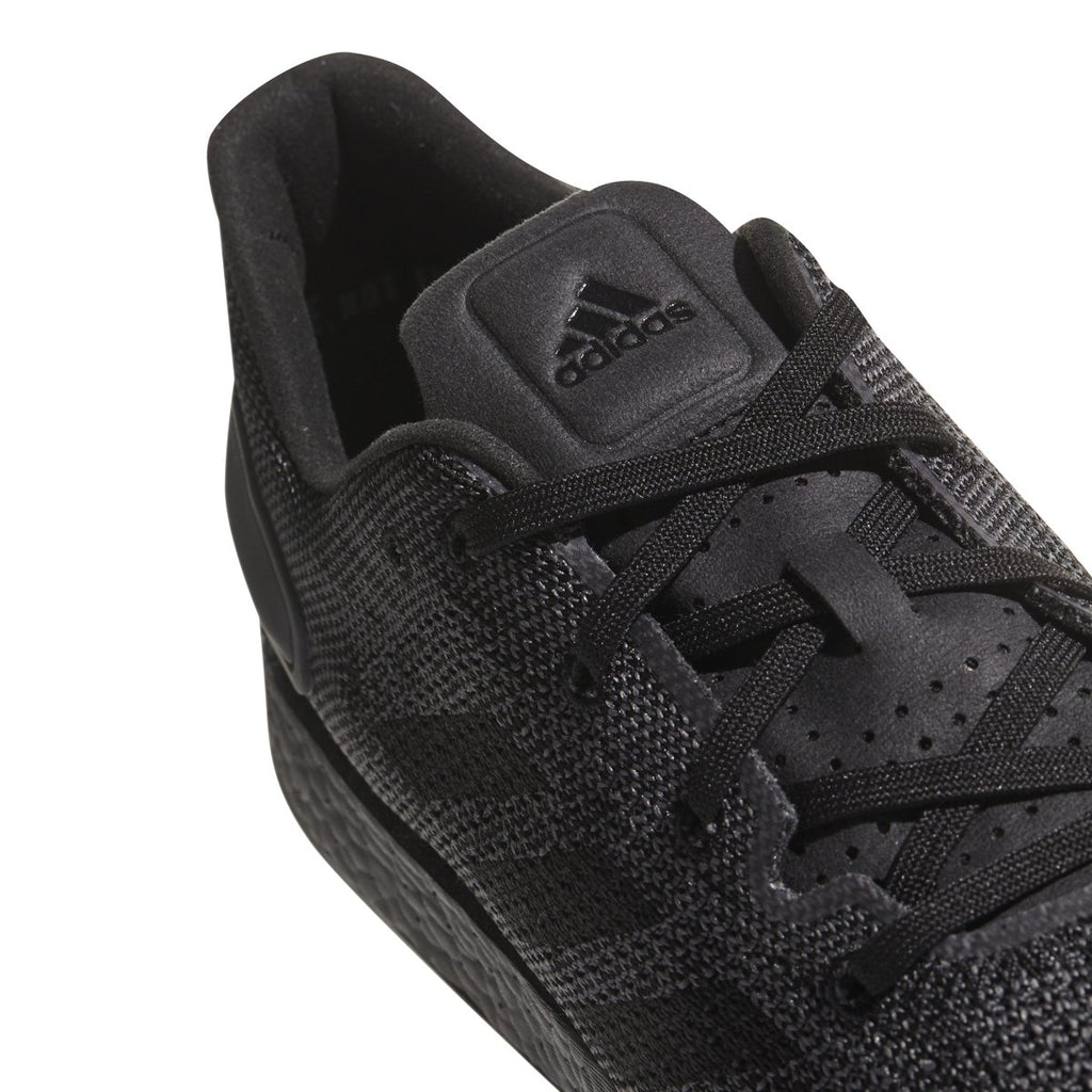 [BB6303] PureBOOST DPR LTD