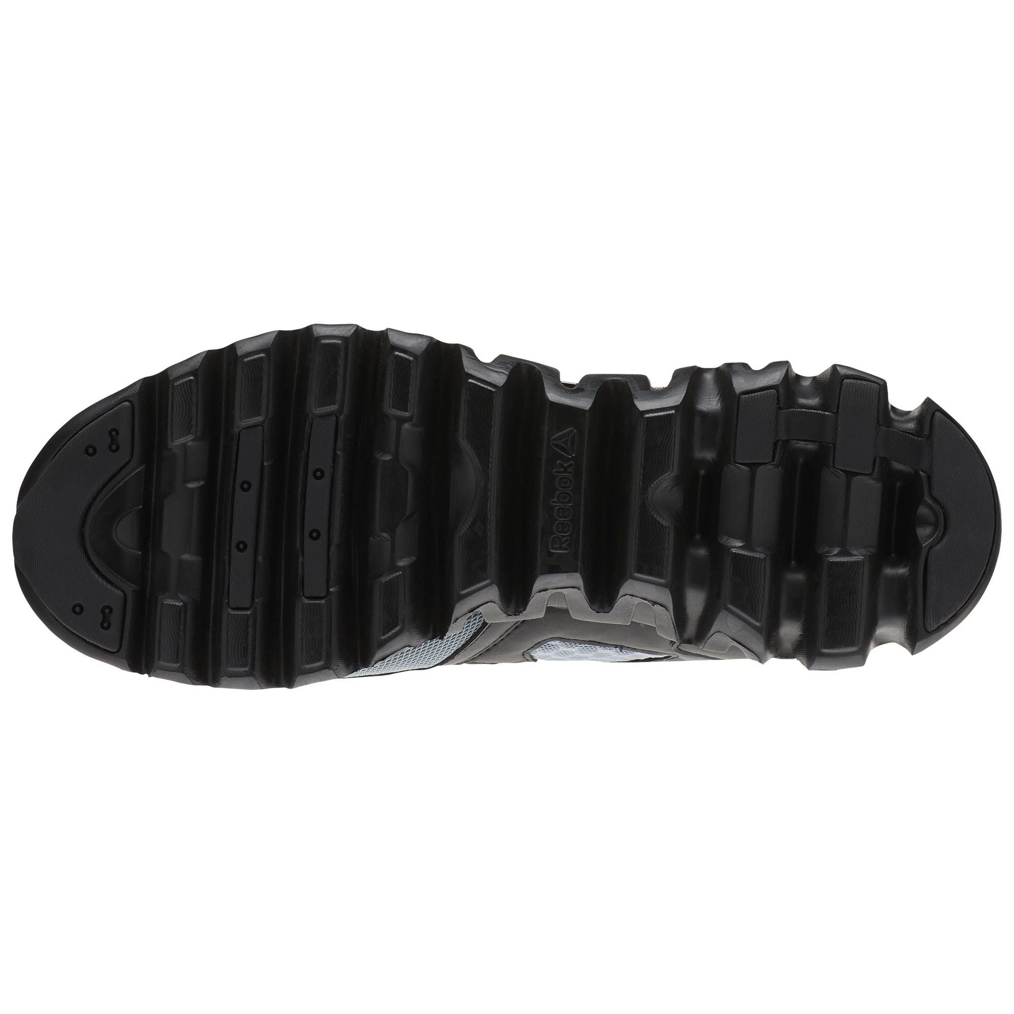 [BS6665] Zigevolution