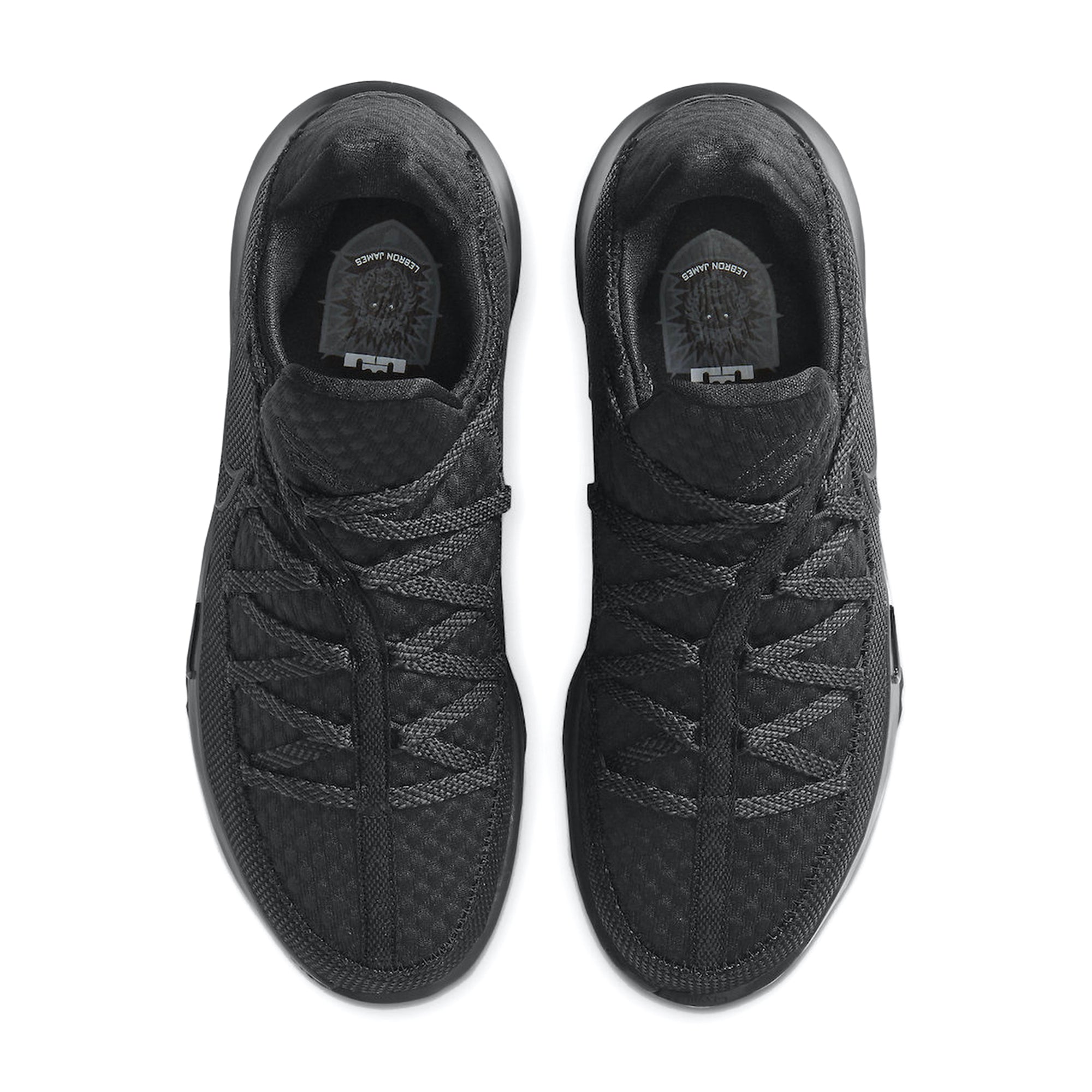 [CD5007-003] Mens Nike Lebron XVII Low