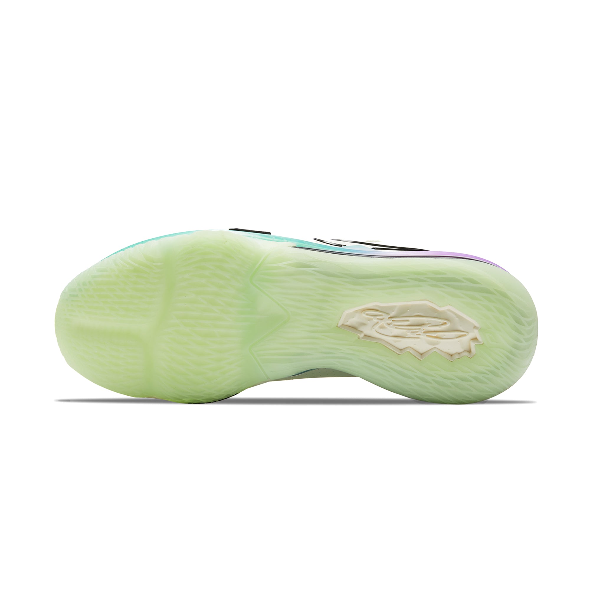 [CD5007-005] Mens Nike Lebron XVII Low