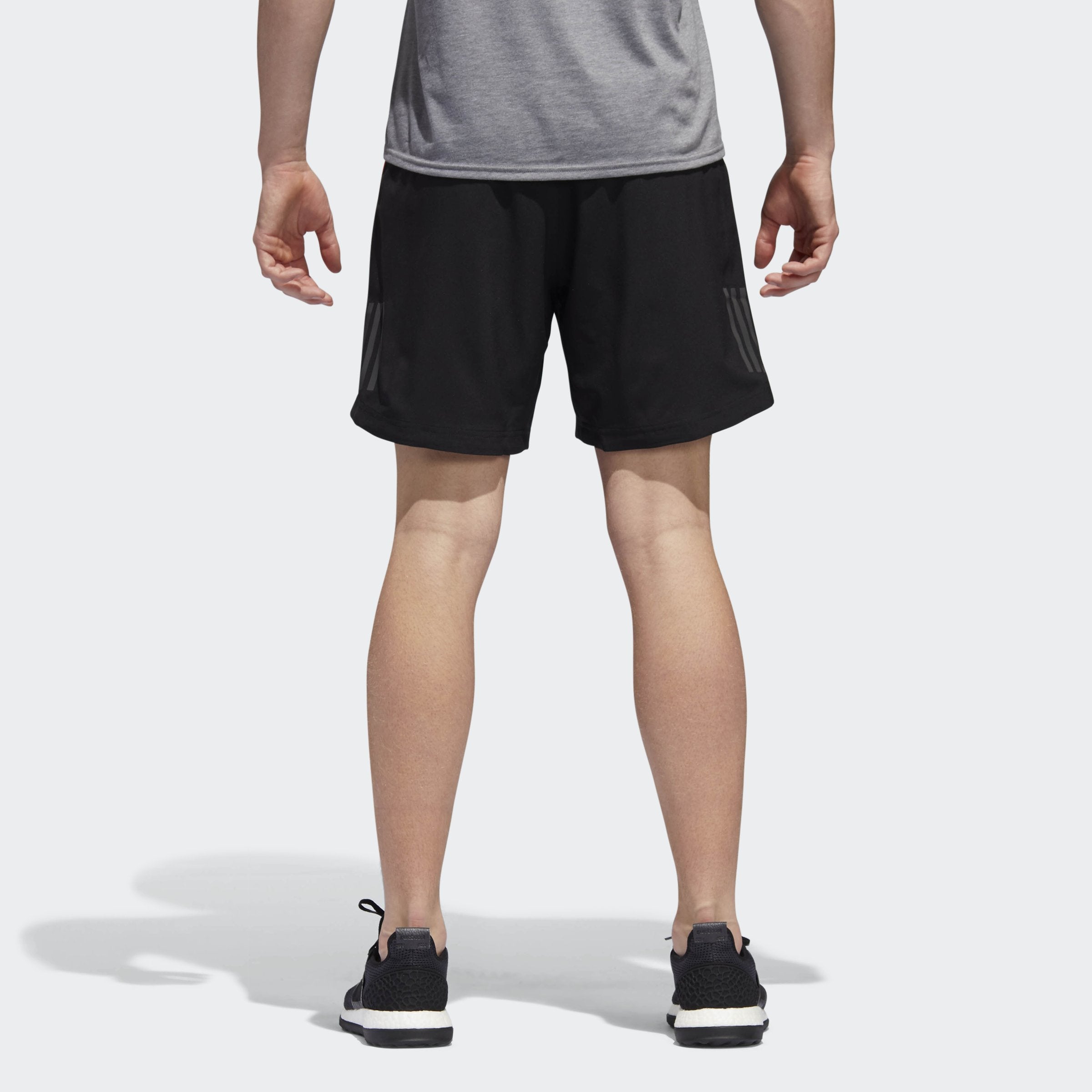 [CF6255] Response Short