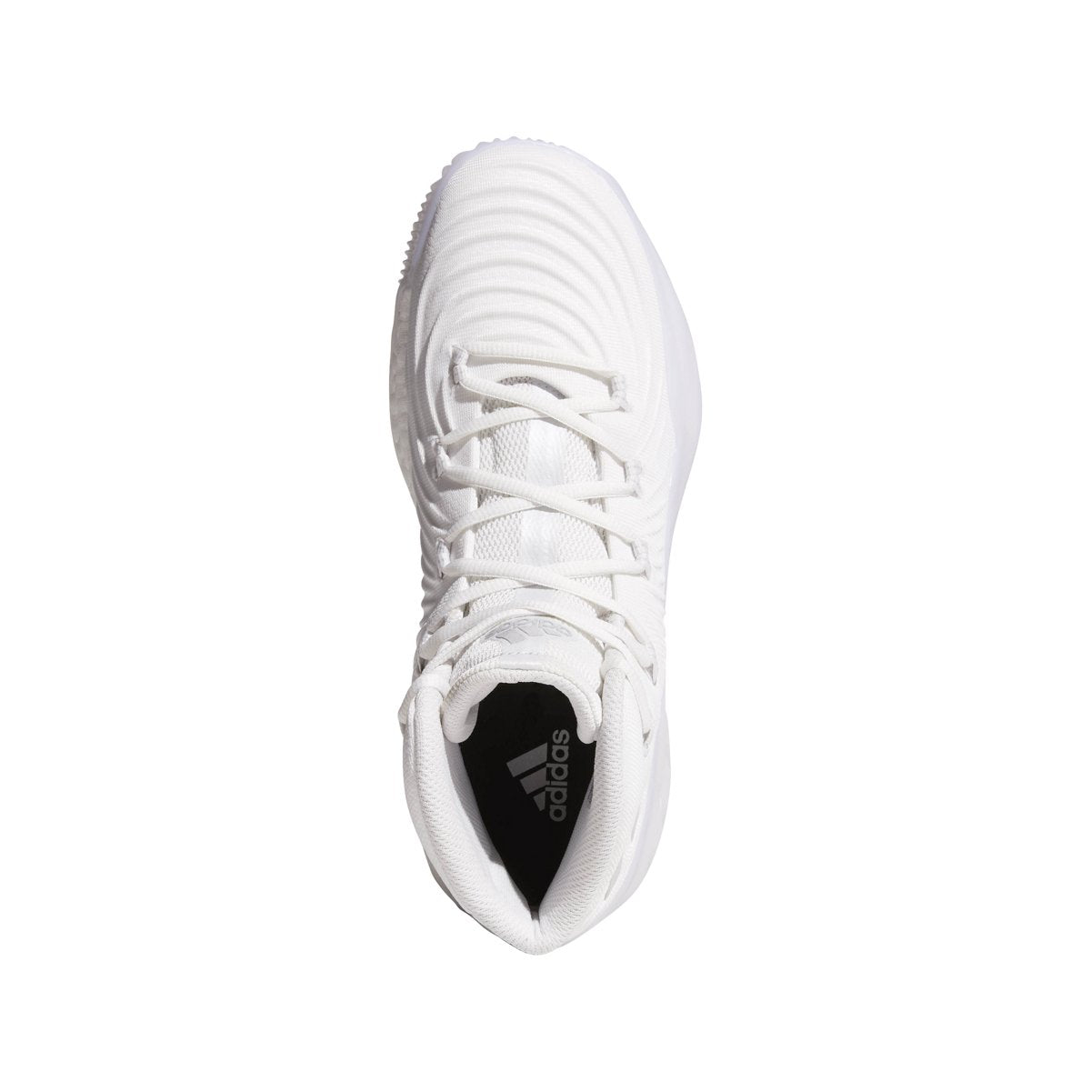 [CG4810] CRAZY EXPLOSIVE 2017