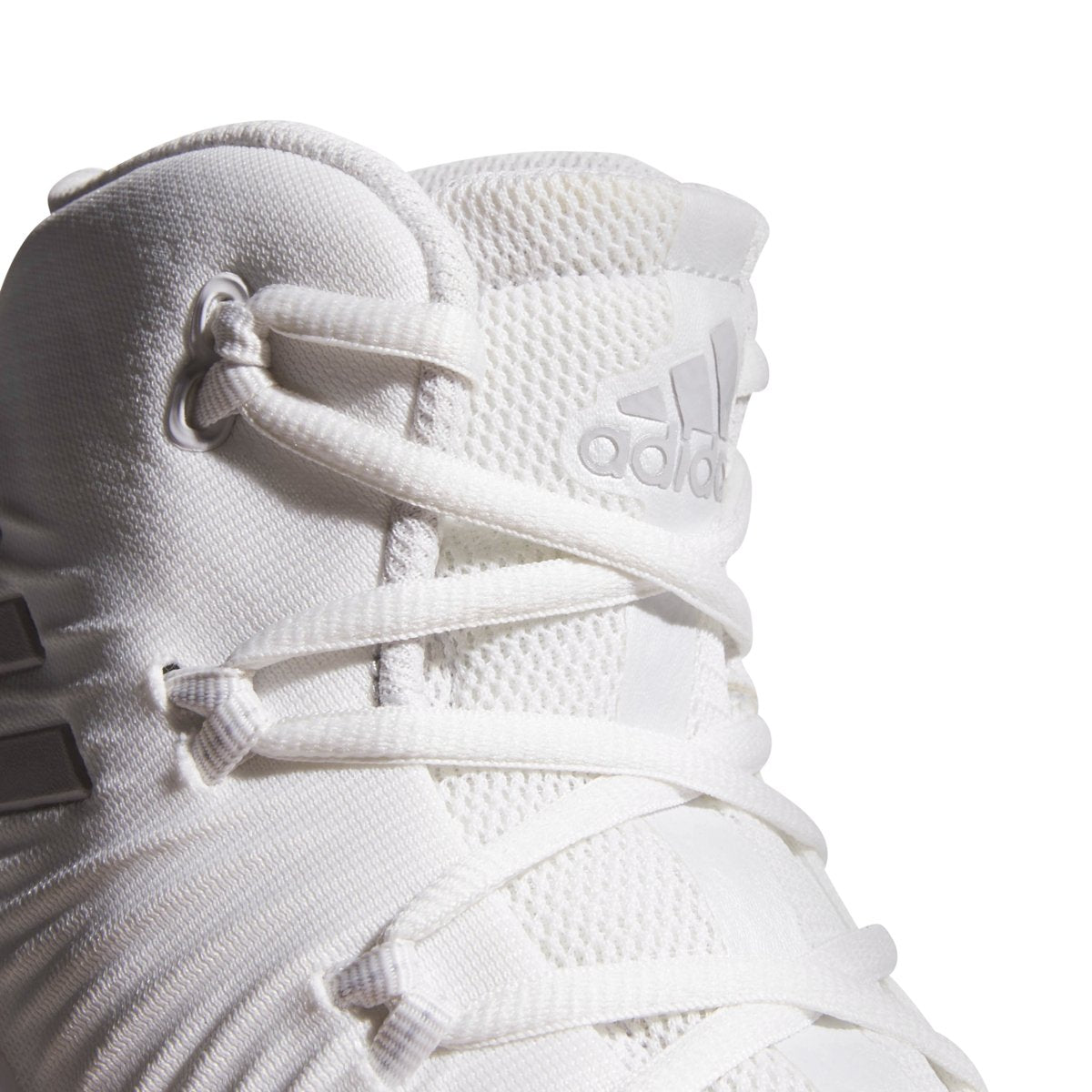[CG4810] CRAZY EXPLOSIVE 2017