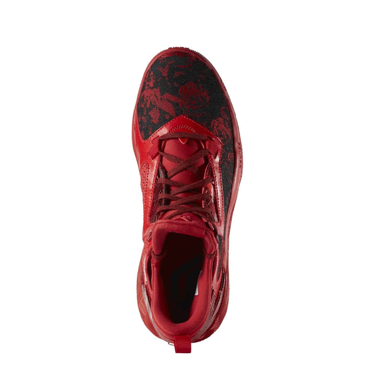 [F37125] D Lillard 2