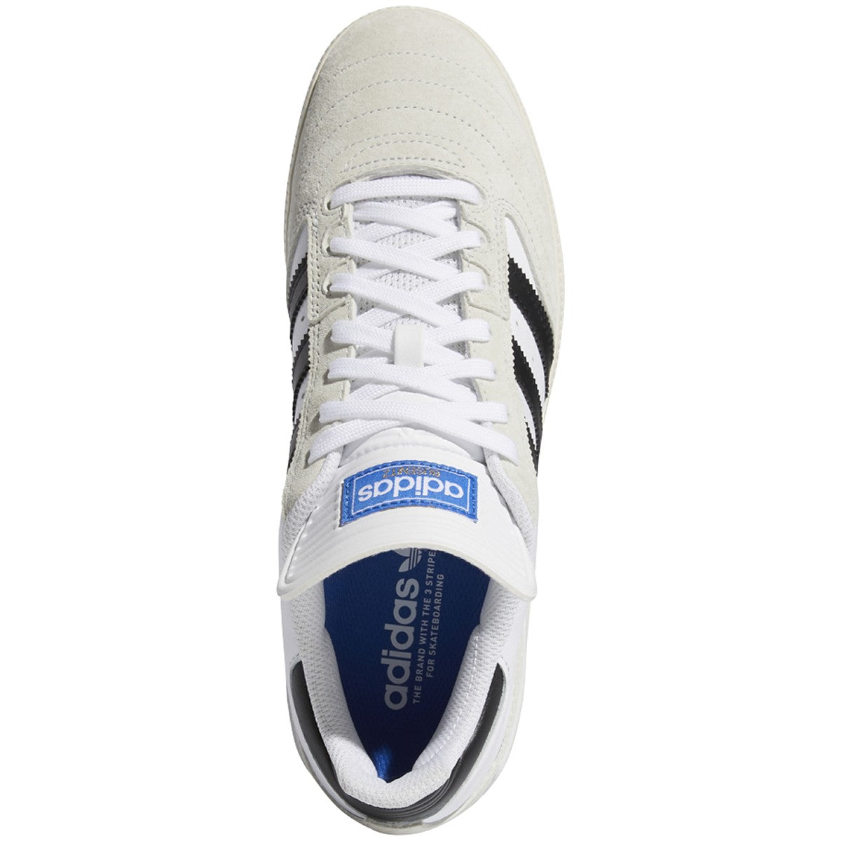 [FV5877] Mens Adidas Busenitz