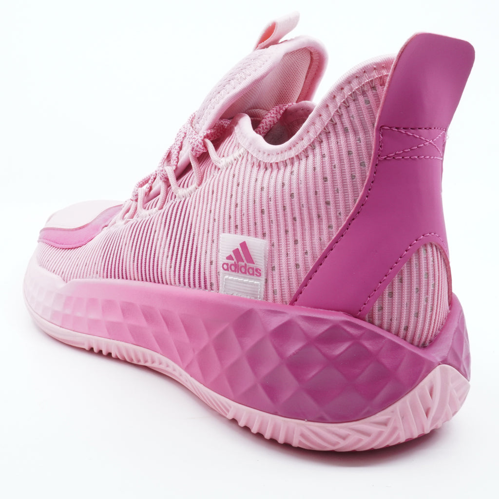 [S29228] Mens Adidas Pro Boost Low