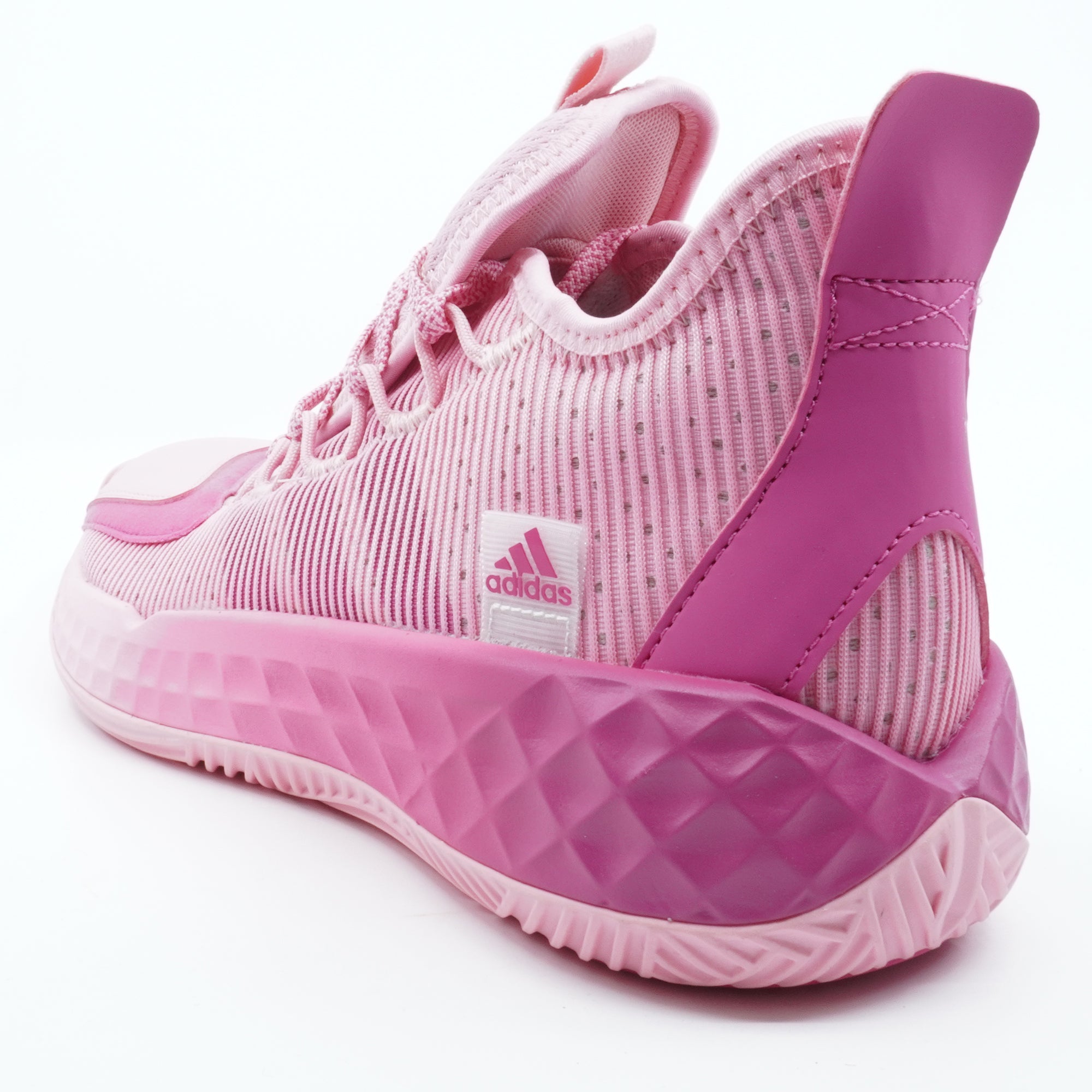 [S29228] Mens Adidas Pro Boost Low