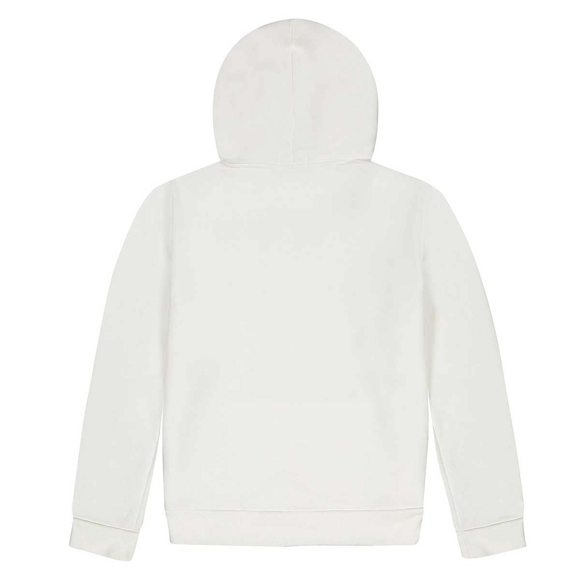 [710746438001] Polo Ralph Lauren Mens Bear USA Flag Hoodie