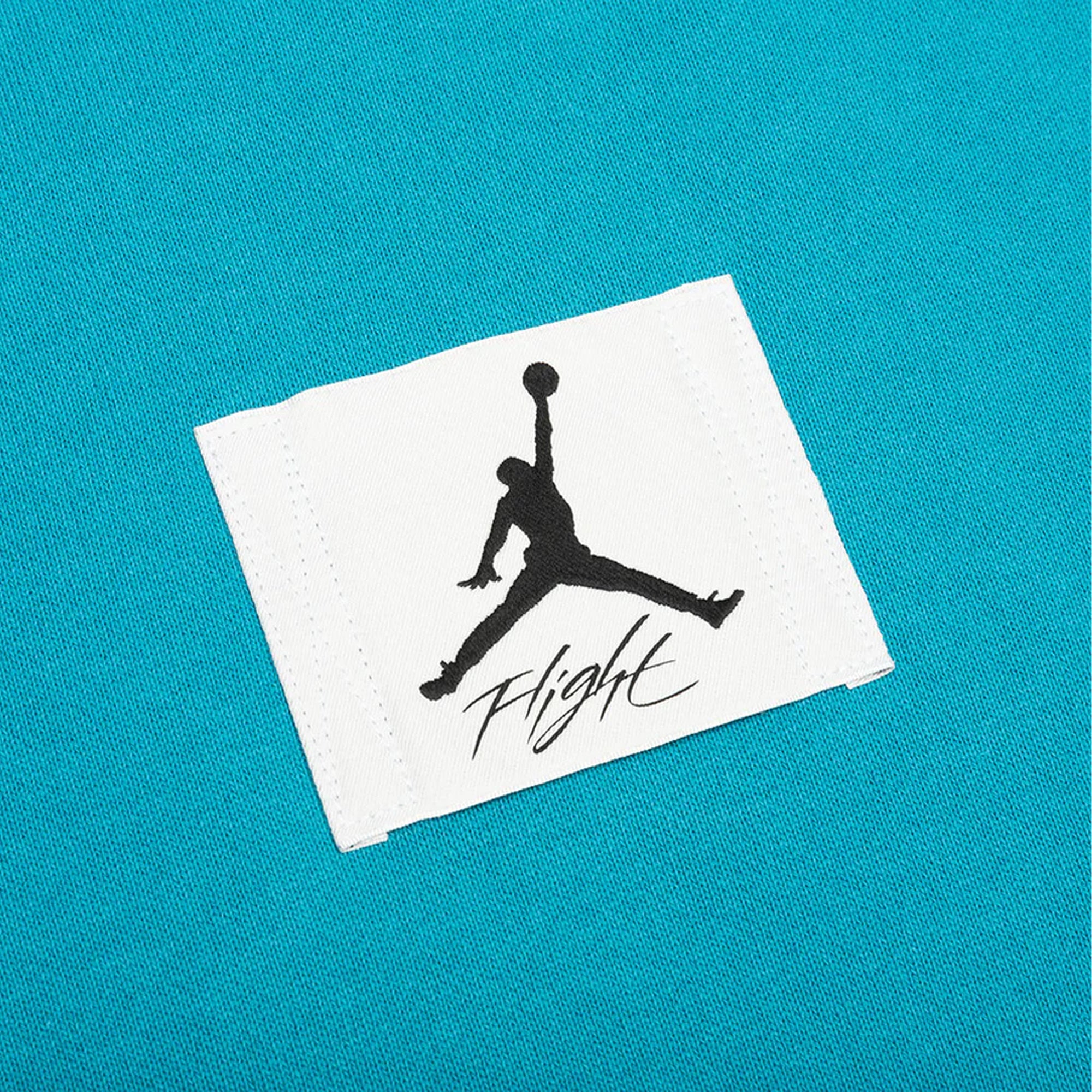 [DA9816-474] Mens Air Jordan Essentials Statement Fleece Hoodie