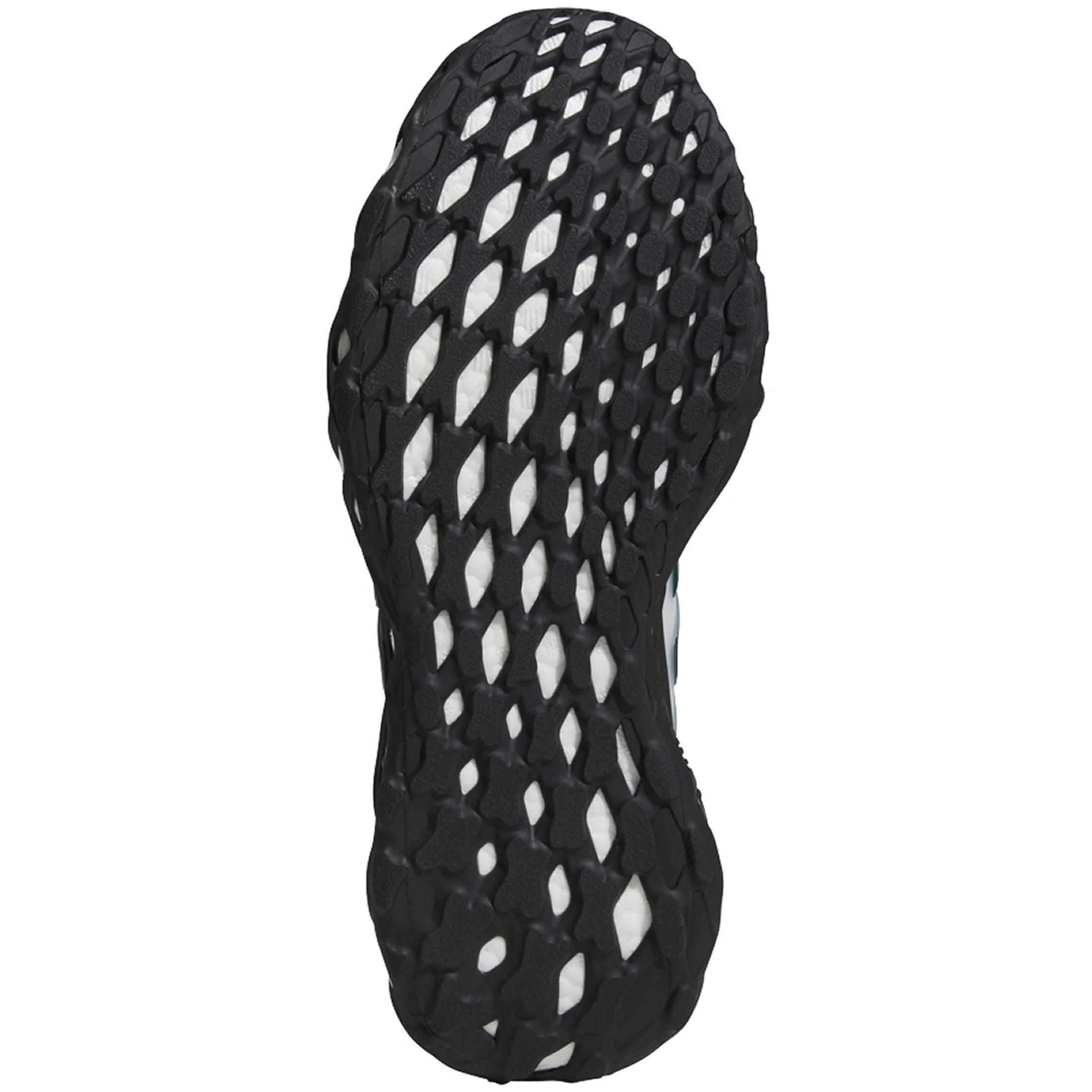 [GZ1593] Mens Adidas ULTRABOOST WEB DNA
