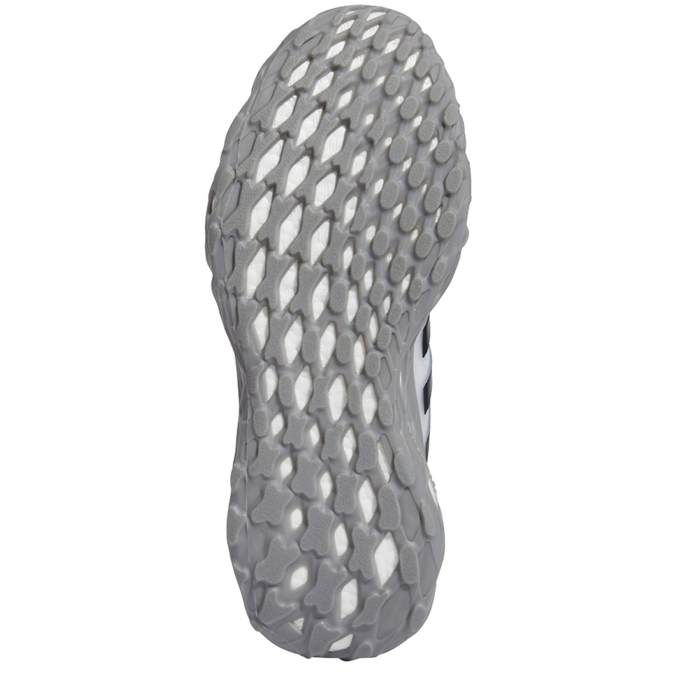 [GZ1592] Mens Adidas ULTRABOOST WEB DNA
