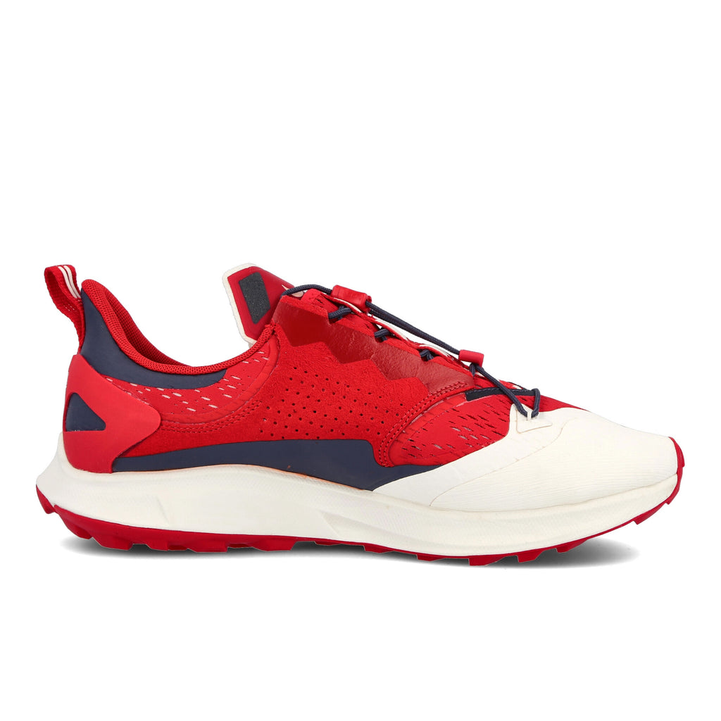 [CD0383-600] Mens Nike ZM Pegasus 36 TR / Gyakusou