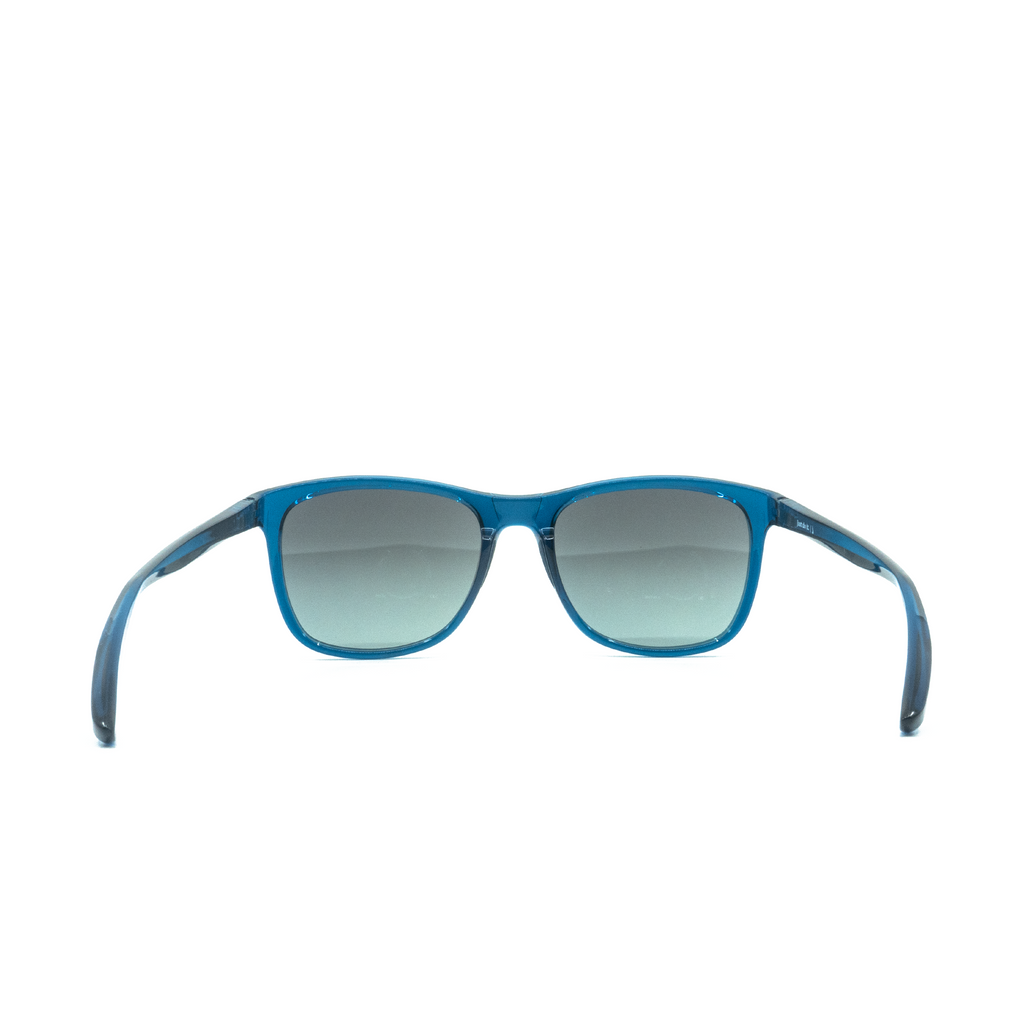 [EV1199-404] Mens Nike Passage Sunglasses