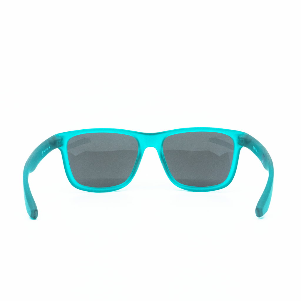 [EV0990-340] Mens Nike Flip Sunglasses