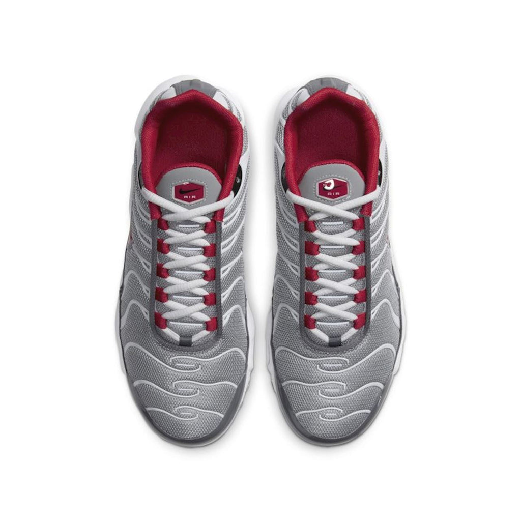 [CD0609-005] Youth Nike Air Max Plus (GS)