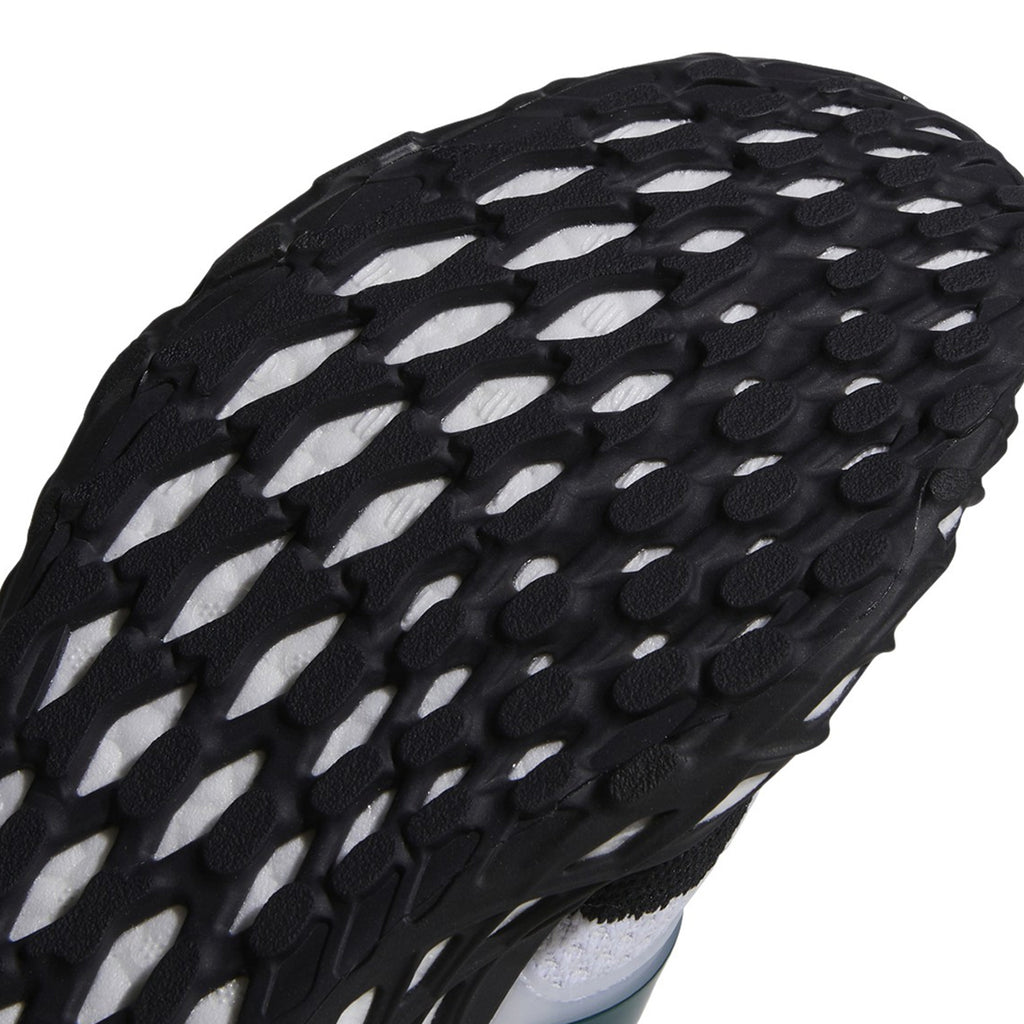[GZ1593] Mens Adidas ULTRABOOST WEB DNA