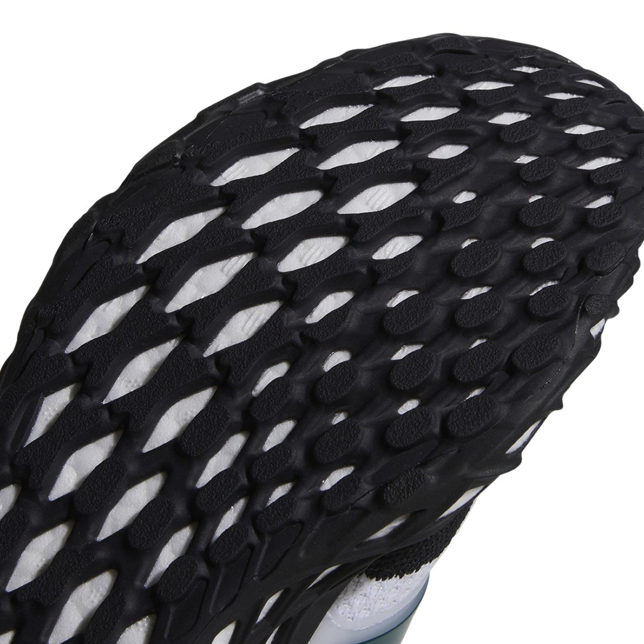 [GZ1593] Mens Adidas ULTRABOOST WEB DNA