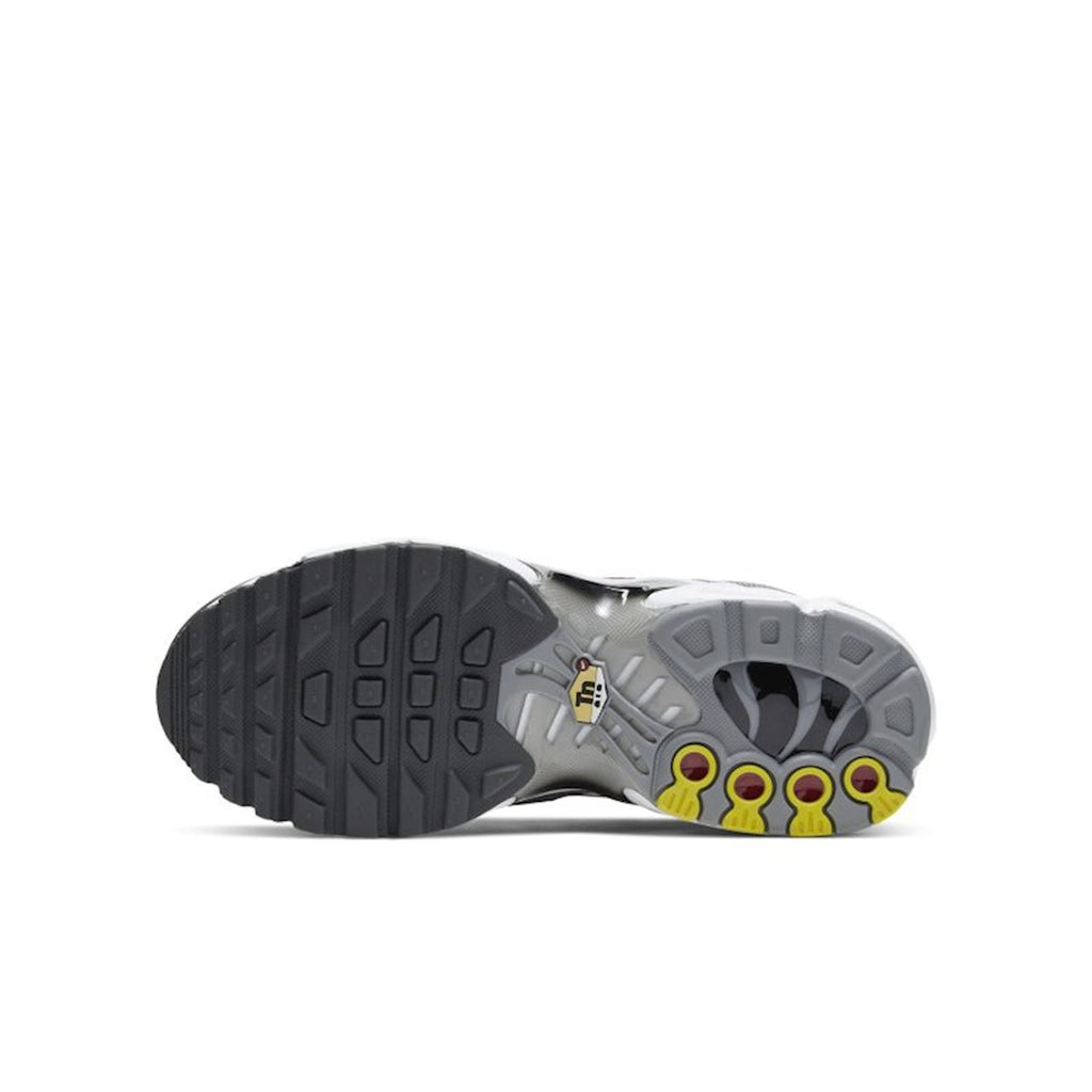 [CD0609-005] Youth Nike Air Max Plus (GS)