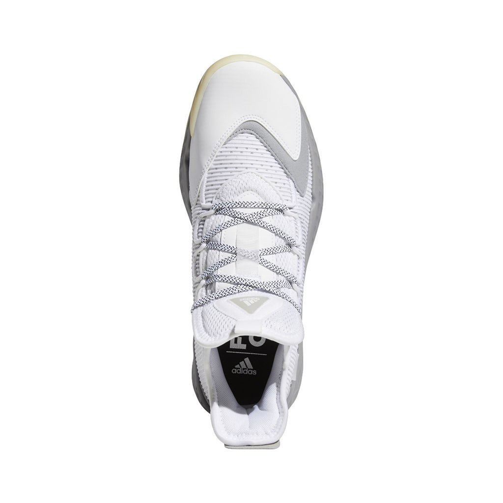 [FW9499] Mens Adidas PRO BOOST Low