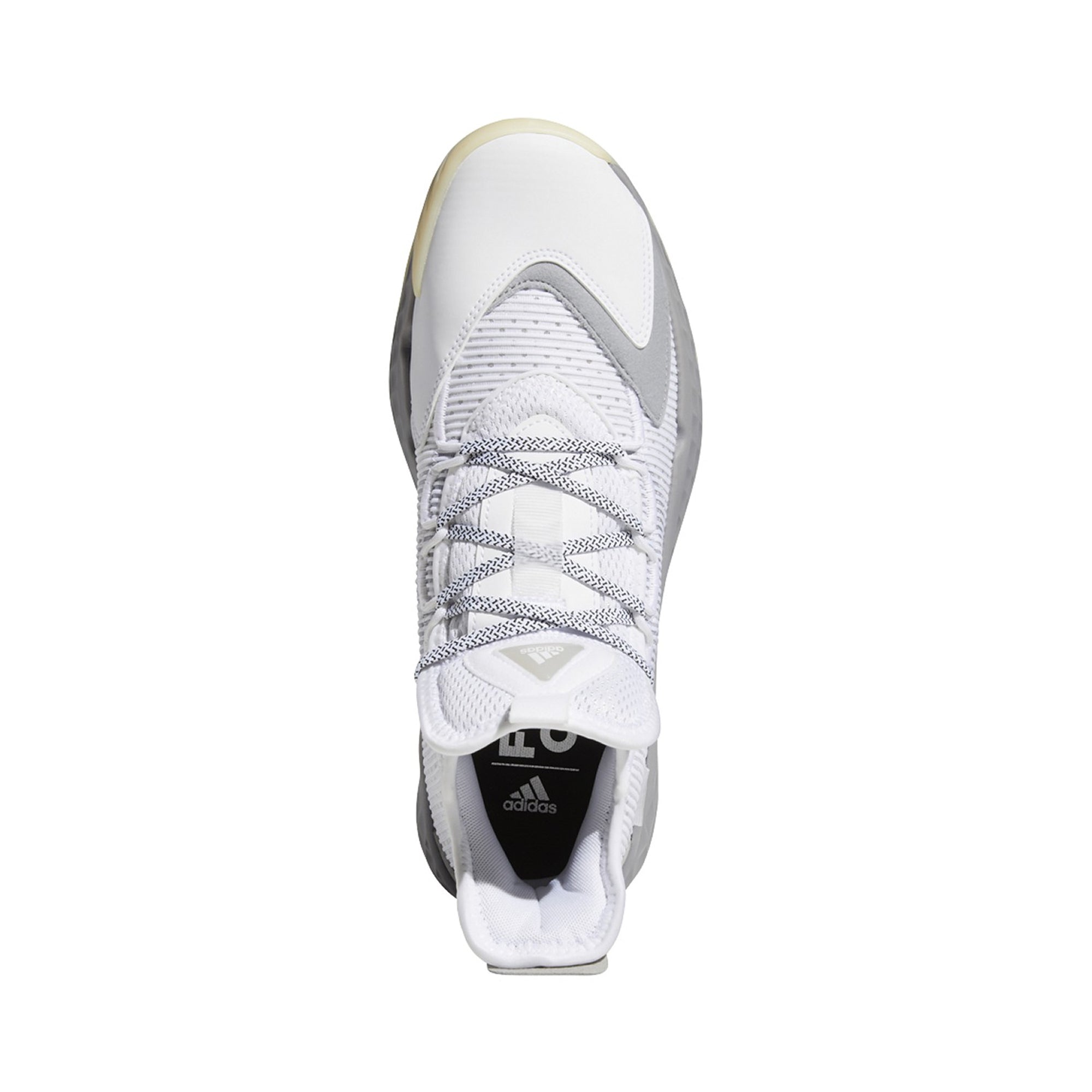 [FW9499] Mens Adidas PRO BOOST Low