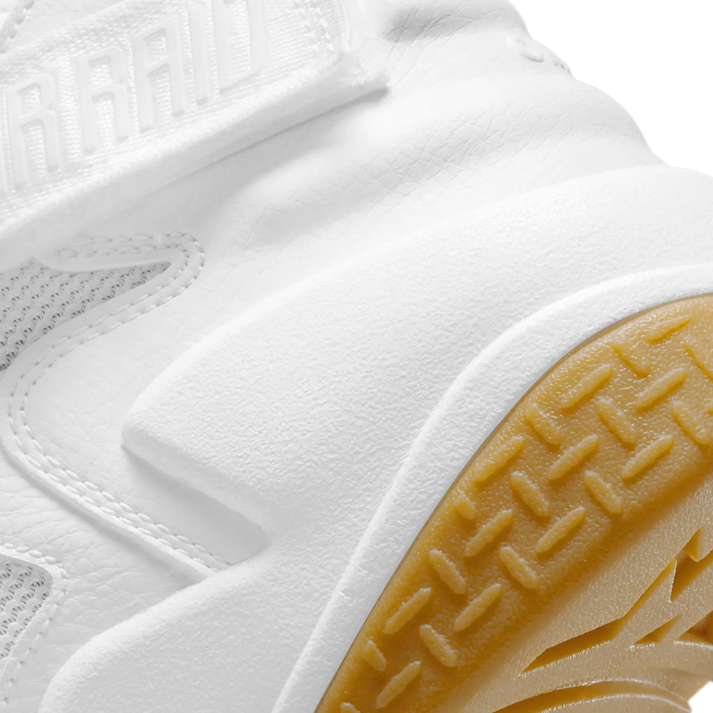 [DJ5974-100] Mens Nike Air Raid