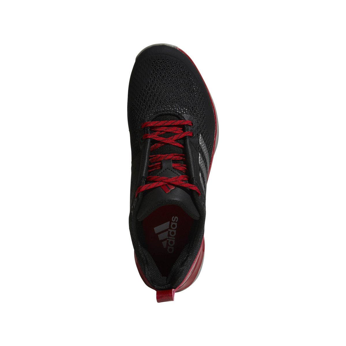 [Q16539] SPEED TRAINER 3.0