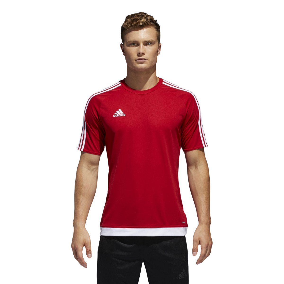 [S16149] Estro 15 Jersey
