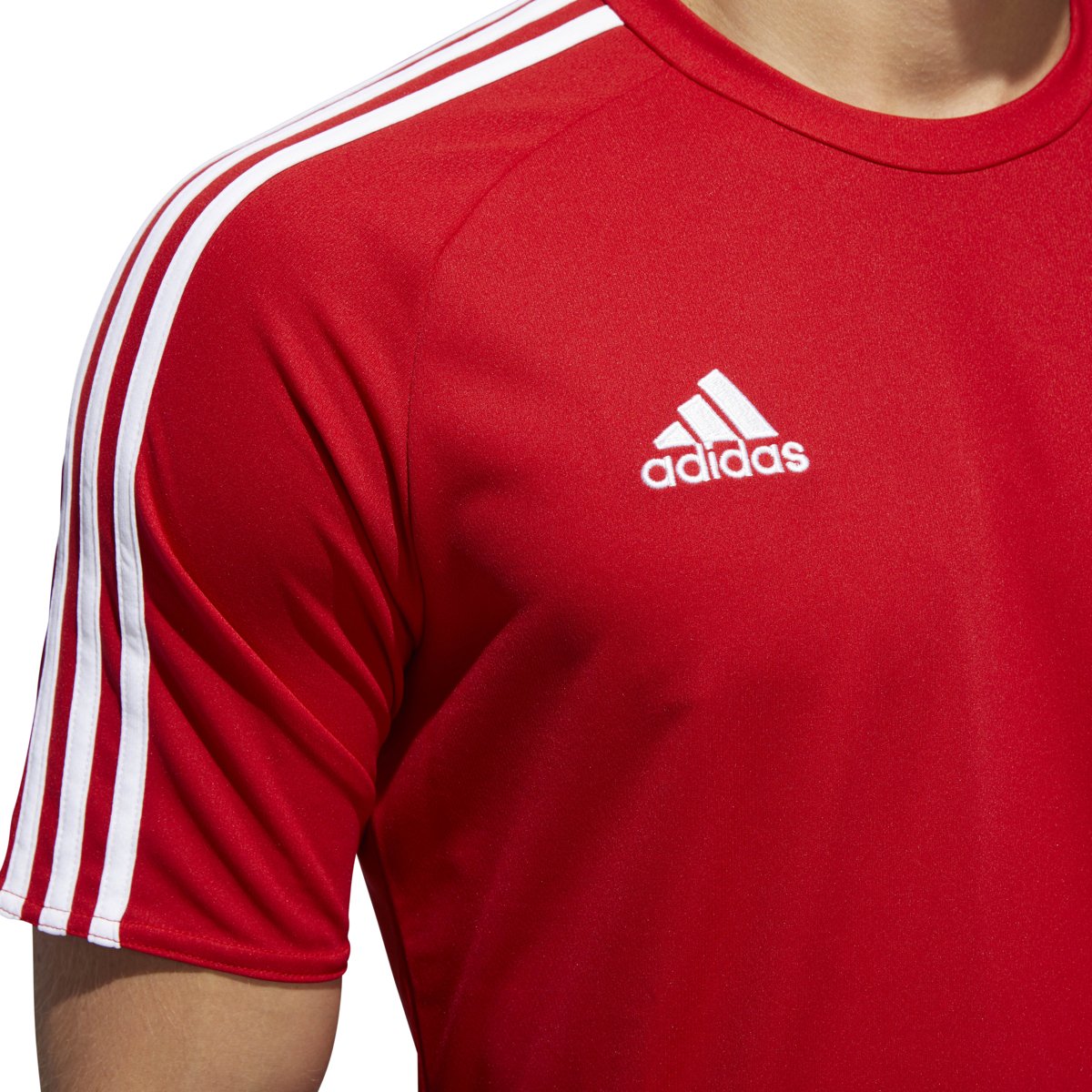 [S16149] Estro 15 Jersey