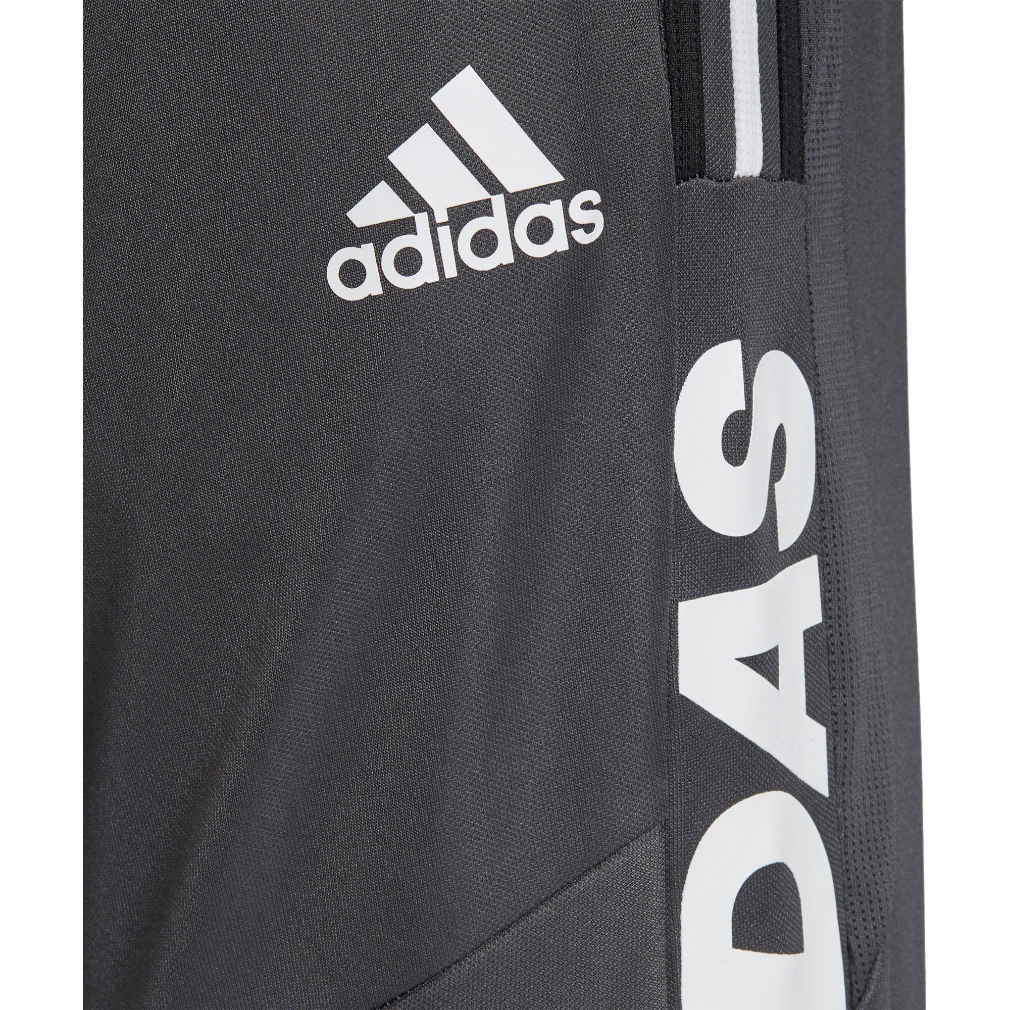 [GE4795] Mens Adidas Tiro19 Training Pant - sneakAR