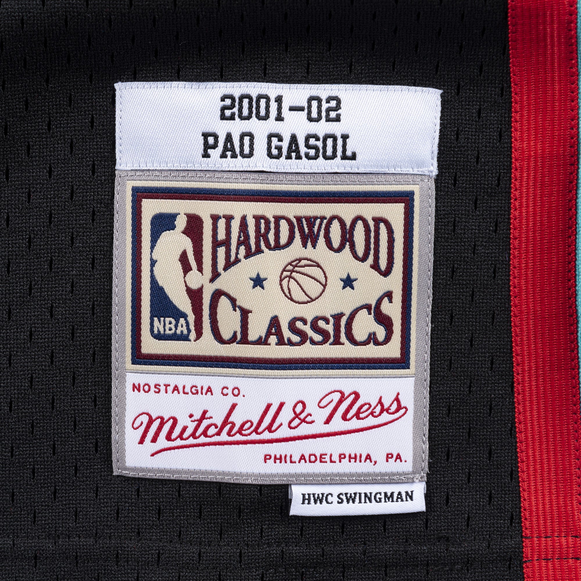Mens Mitchell & Ness NBA Swingman Jersey Grizzlies 2001 Pau Gasol
