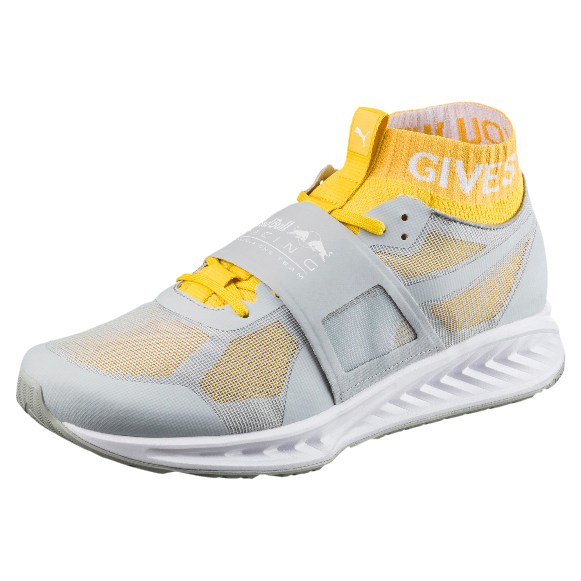 [306026-02] RBR Mechs Ignite V3