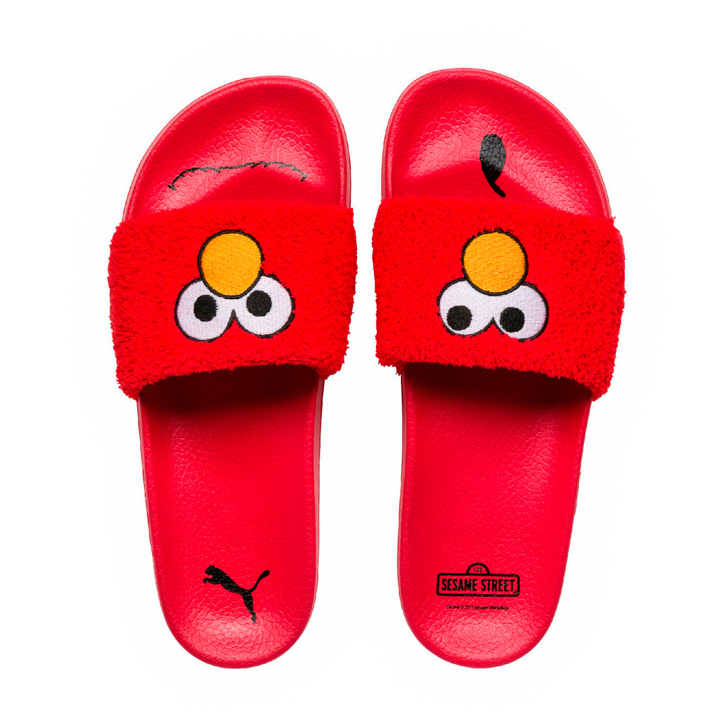 [362456-02] Leadcat Sesame Street